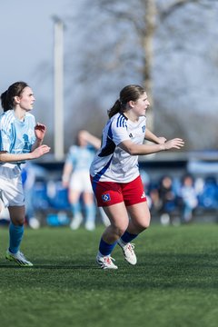 Bild 188 - F Hamburger SV 3 - Blau-Weiss 96 : Ergebnis: 5:1